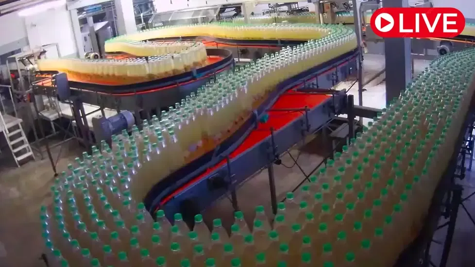 Panda TM Karavan, Vinnytsia region Live Cam