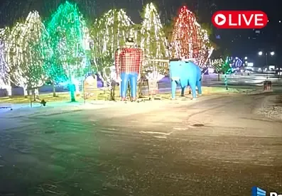 Paul Bunyan & Babe, MN