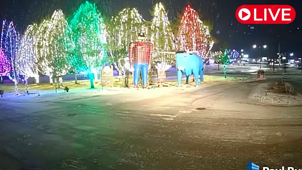Paul Bunyan & Babe, MN Live Cam