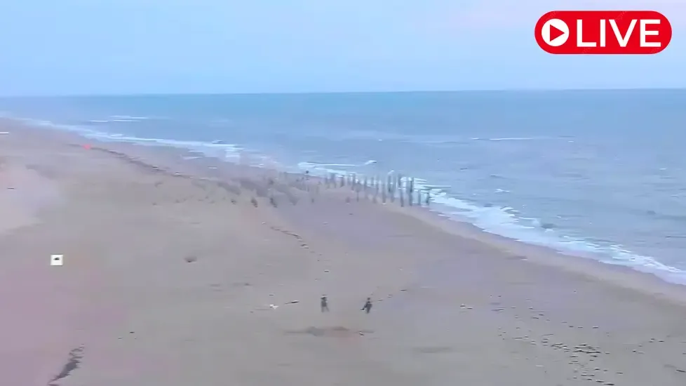 Petten Strand Live-Webcam
