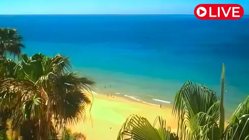 Playa de Cofete, Fuerteventura Live Cam