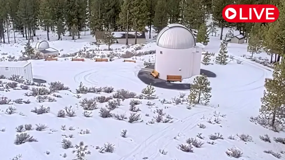 PMO Live, Oregon Live Cam