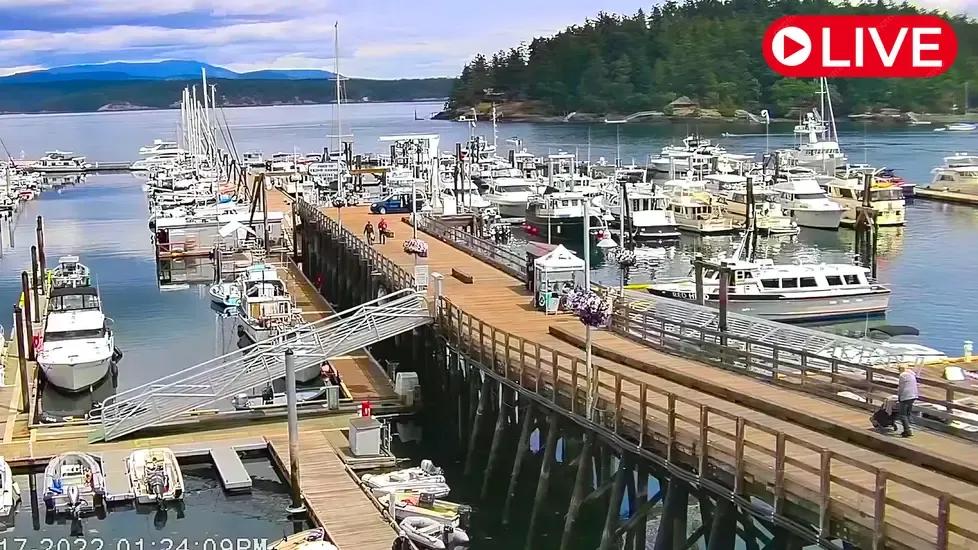 Port of Friday Harbor Live Cam