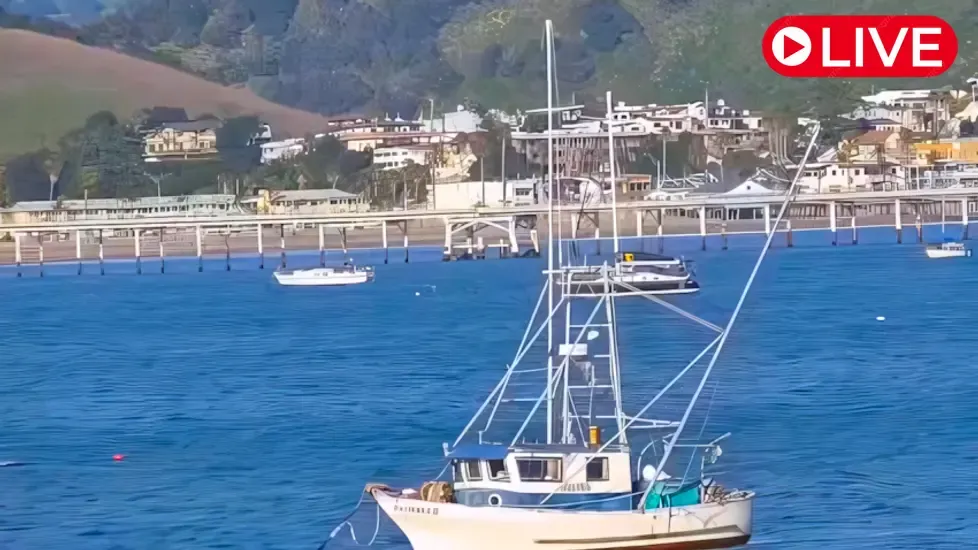 Port San Luis, California Live Cam