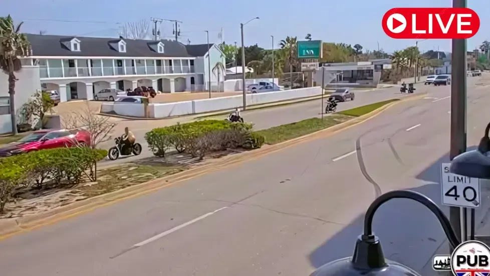 Pub Anastasia, Florida Live Cam