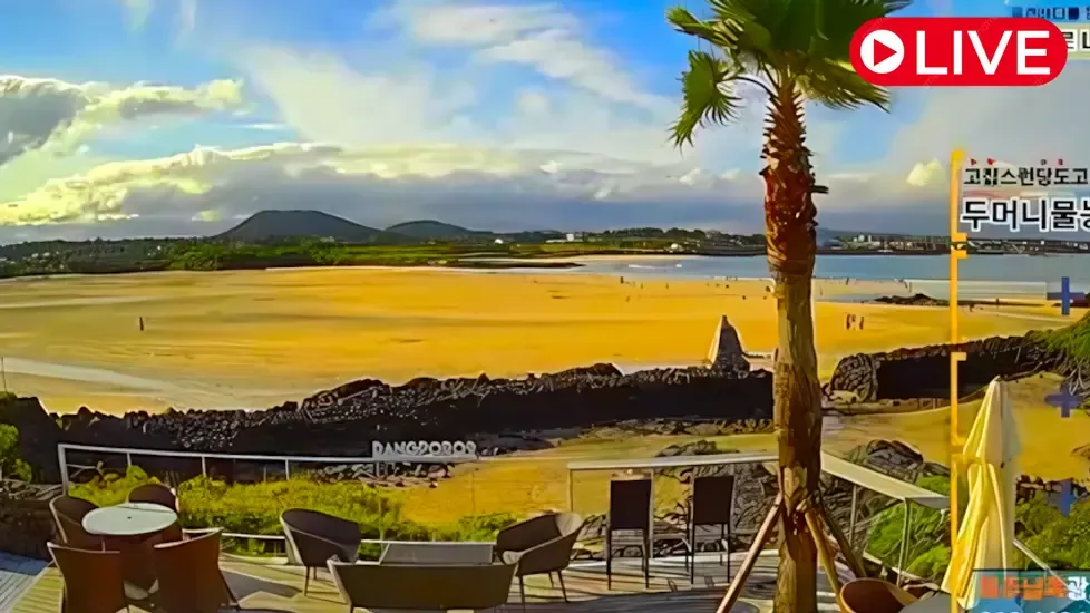 Pyoseon Beach, Jeju Island Live Cam