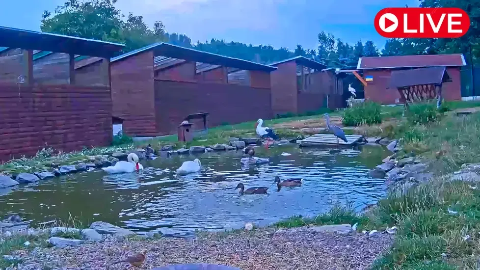 Rescue Station in Makov Live Cam