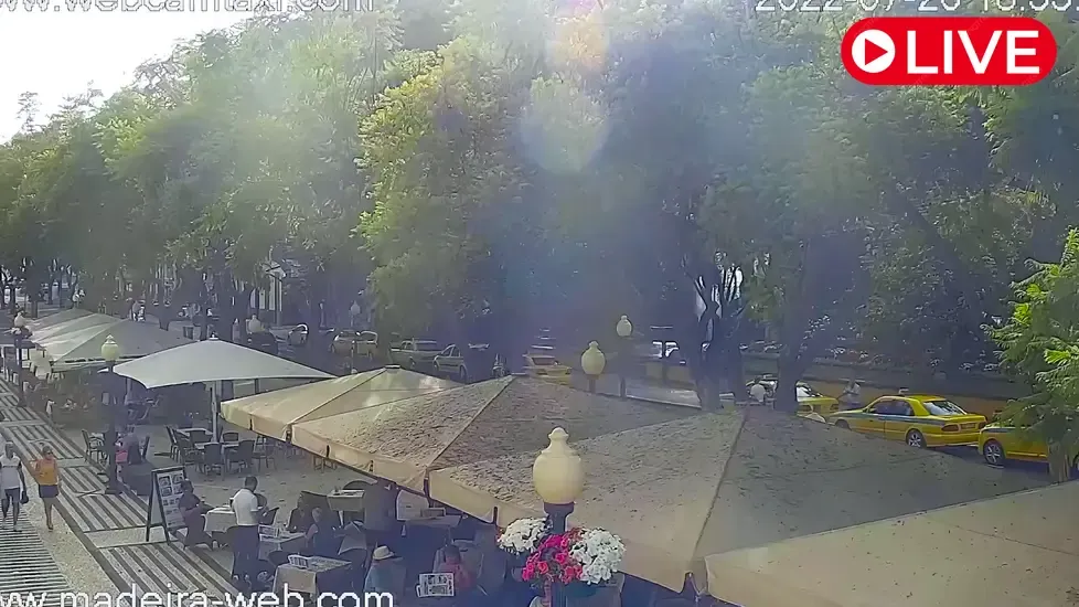 Ritz Madeira, Avenida Arriaga Live Cam