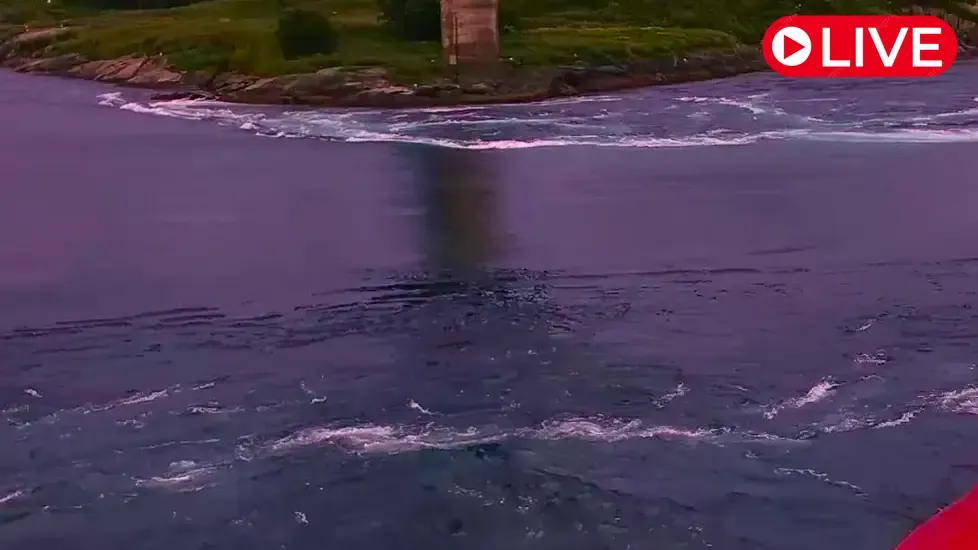 Saltstraumen, Bodø Live Cam