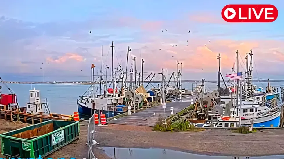Shinnecock Fishing Dock, New York Live Cam