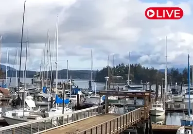 Shipyard Cove Marina, WA