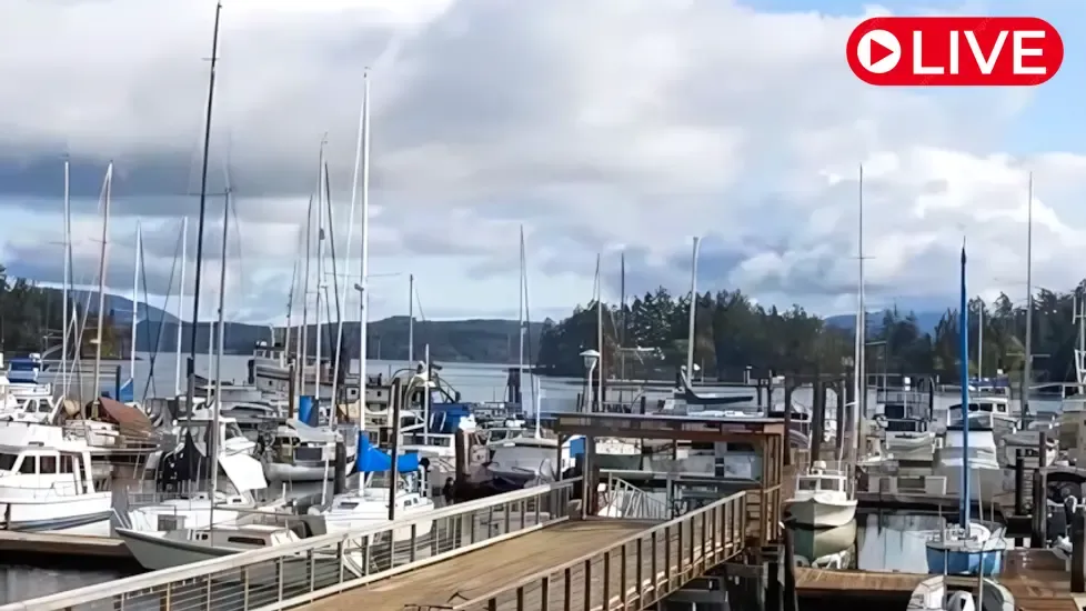 Shipyard Cove Marina, WA Live Cam