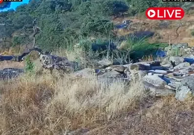 Sierra Morena, Jaén