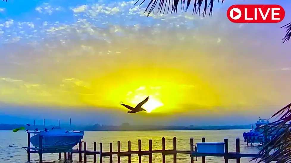 Siesta Key, Florida Live Cam