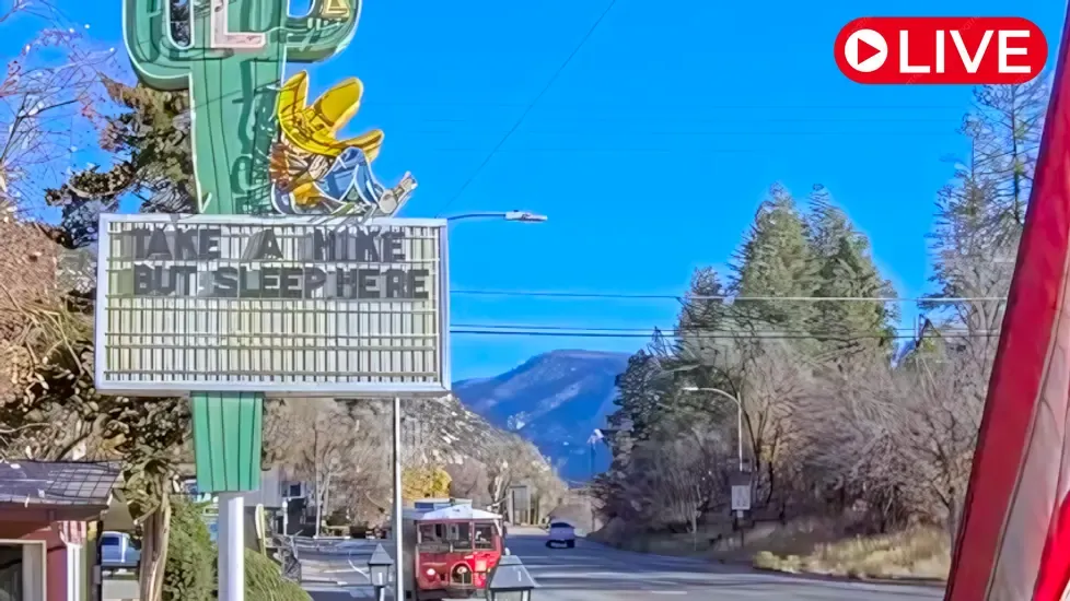 Siesta Motel Cactus, Durango Live Cam