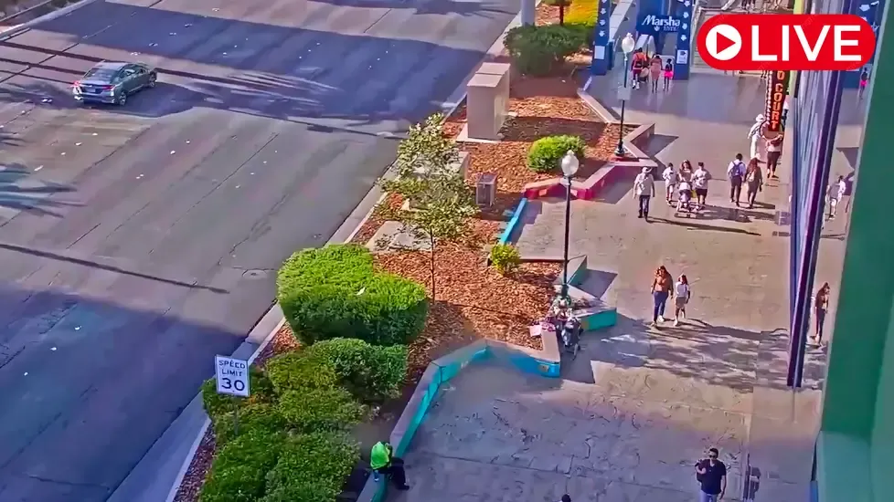 South Las Vegas Blvd Live Cam