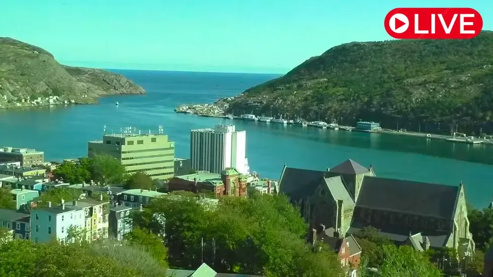 St. John's harbour, Newfoundland Live Cam