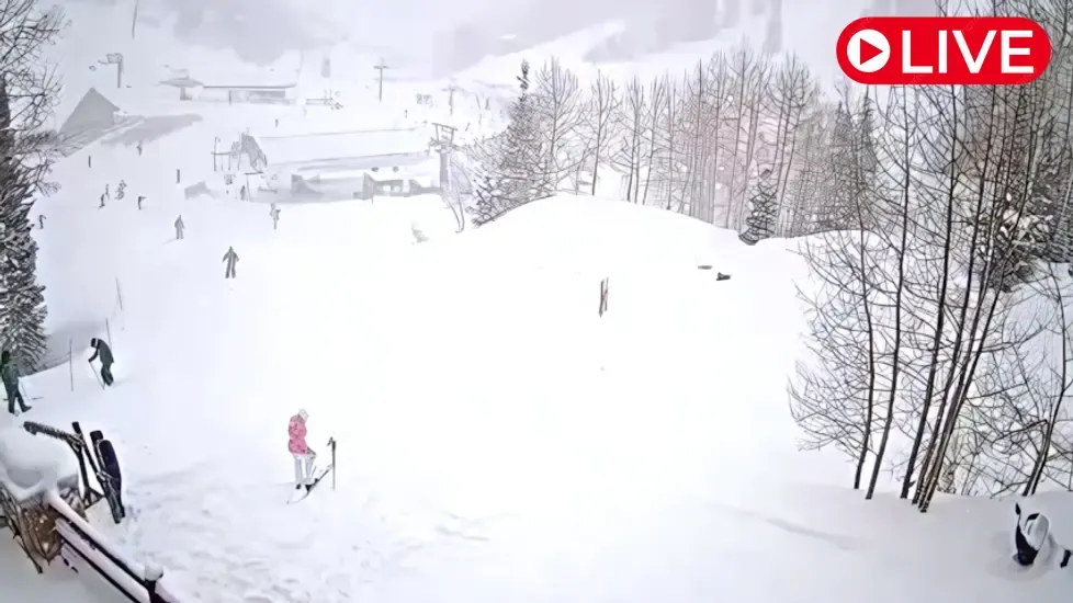 Live Webcam Steinlodge Ski, Utah