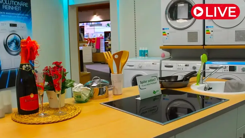 Storks nest, Sontheim an der Brenz Live Cam