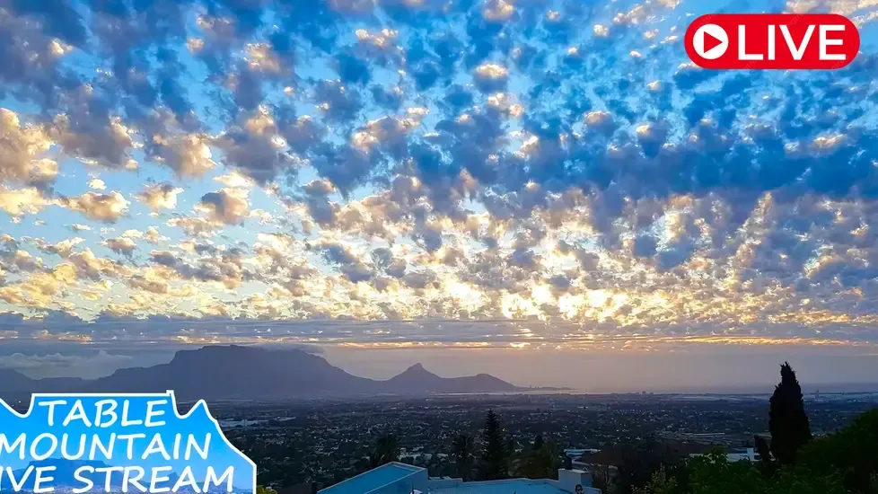 Table Mountain, Cape Town Live Cam