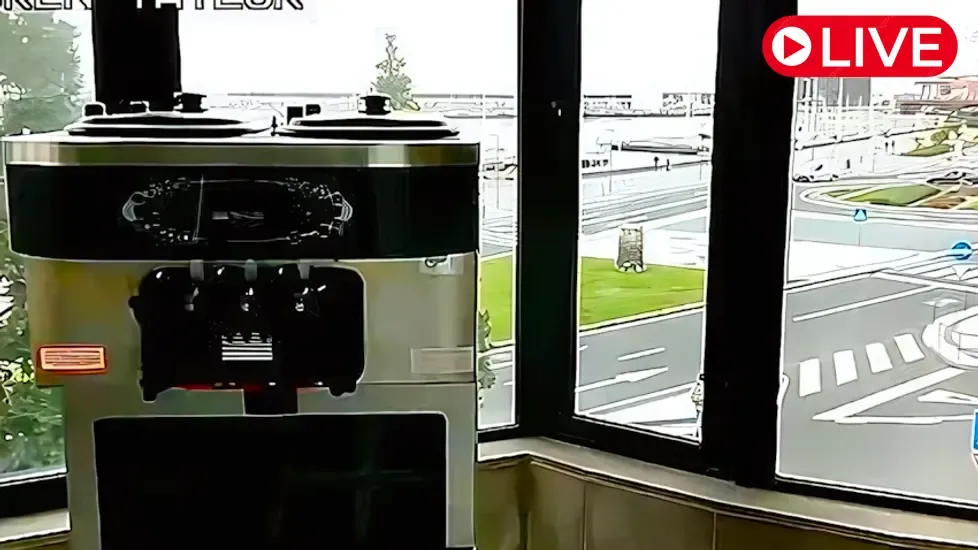 Taylor soft serve freezer Live Cam