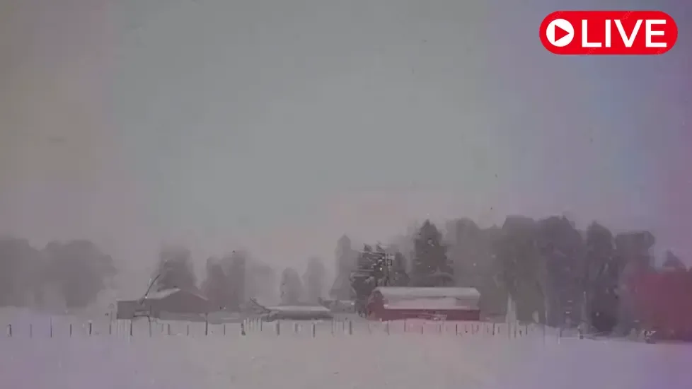 Teton Valley Live Cam