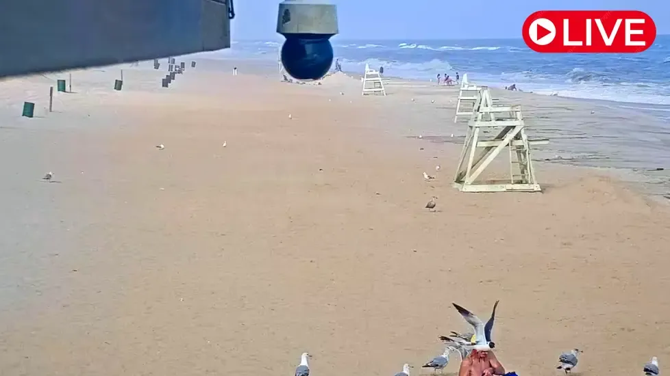 Tobay Beach, New York Live Cam