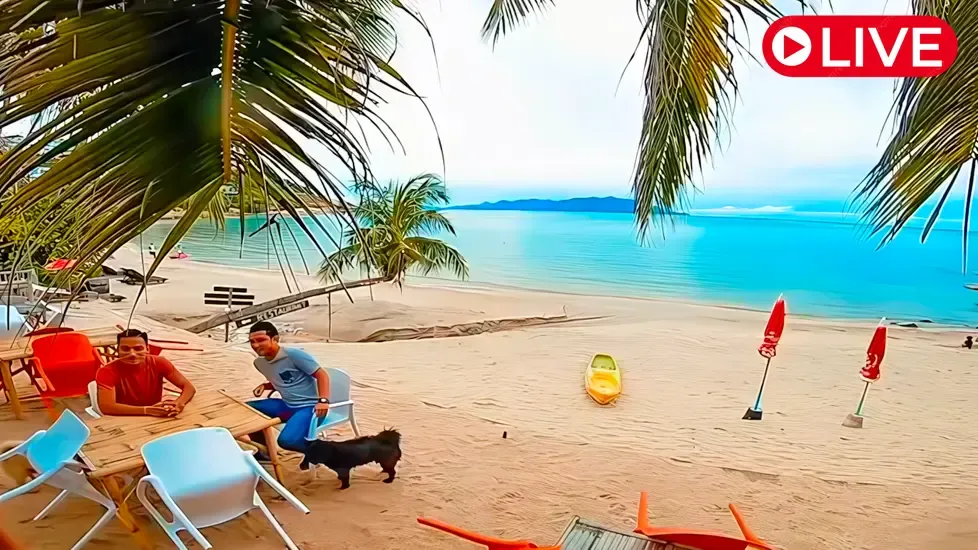 Tongson Bay Beach, Koh Samui Live Cam