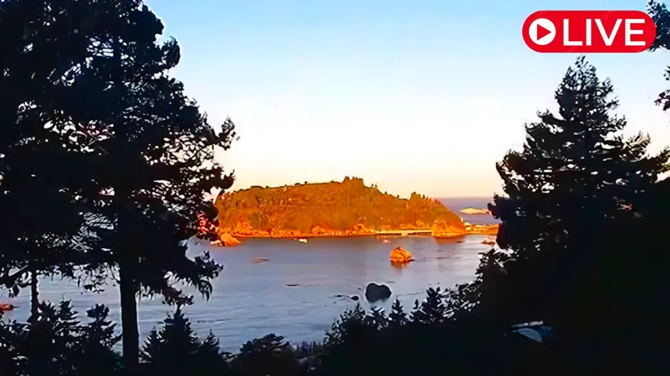 Trinidad Harbor Live Cam