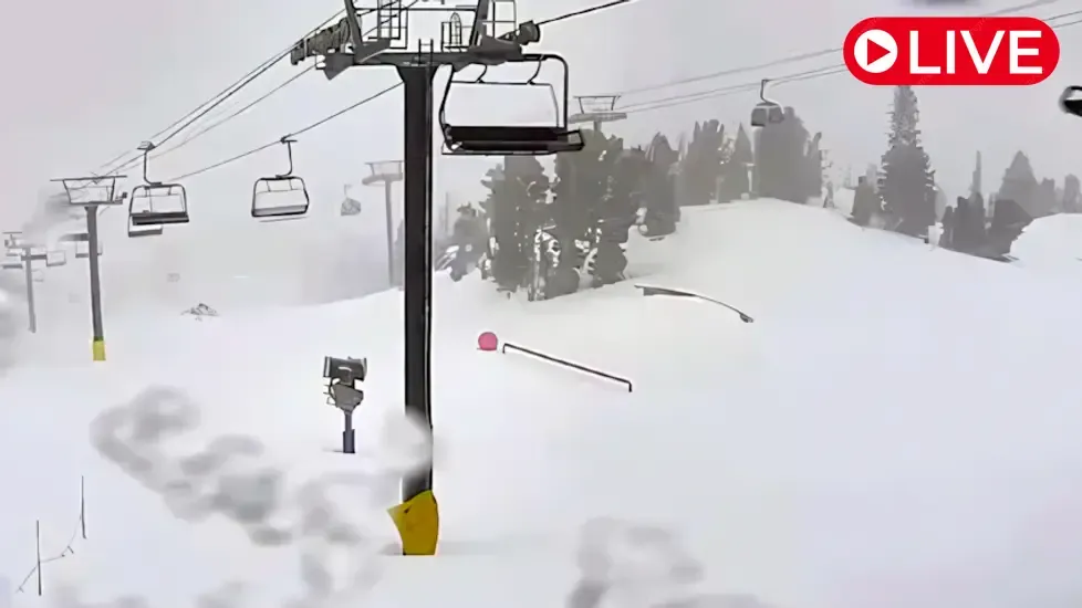 Unbound Main Park, Mammoth Live Cam