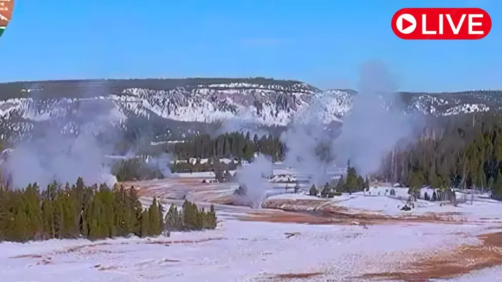 Basen Górnego Gejzera, Yellowstone kamera na żywo