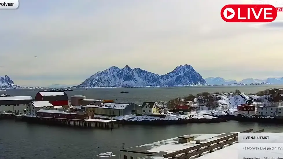 Views of Norway Multicam Live Cam