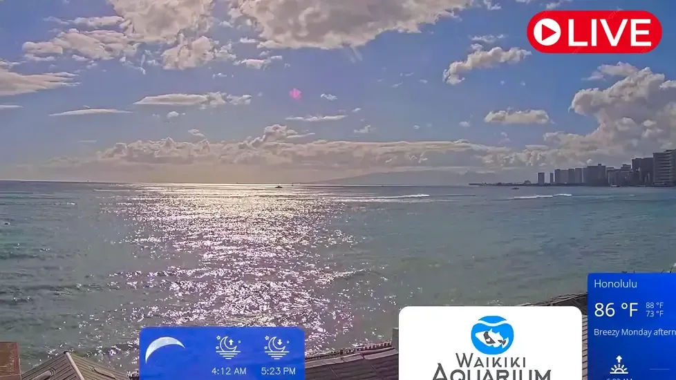 Waikiki Aquarium, Hawaii Live Cam