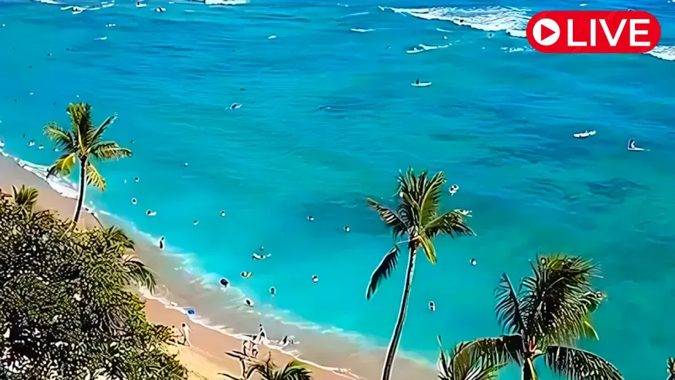 Waikiki Beach Live Cam