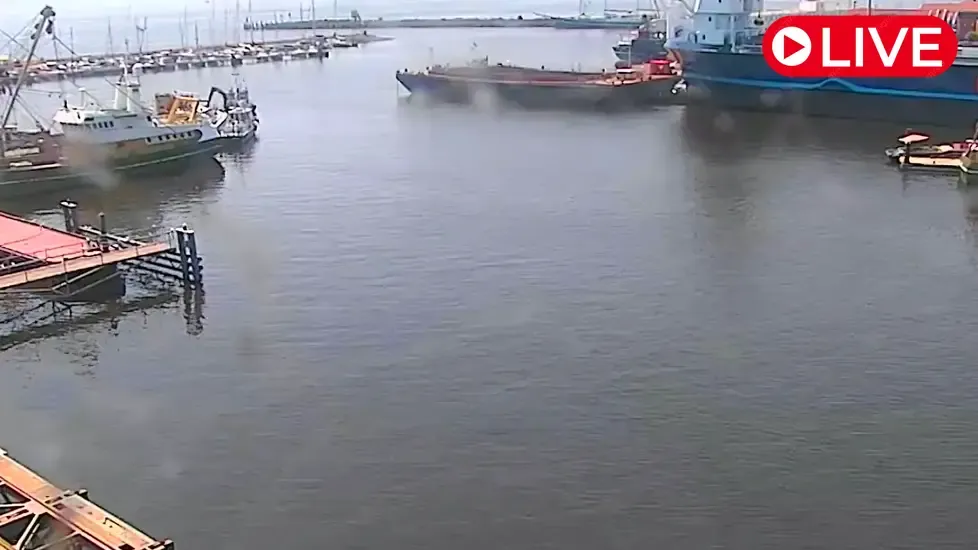 Werkhaven, Urk Live-Webcam