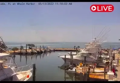 Whale Harbor, Florida