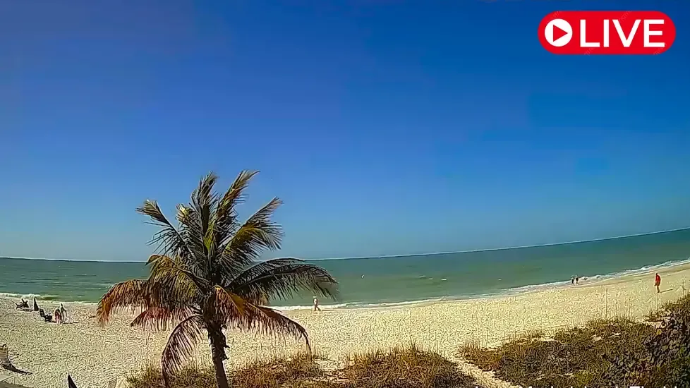 White Sands Anna Maria Island Live Cam