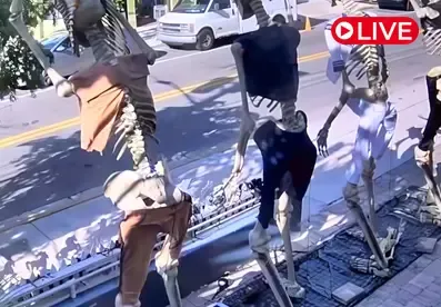 Wicker Guesthouse, Key West