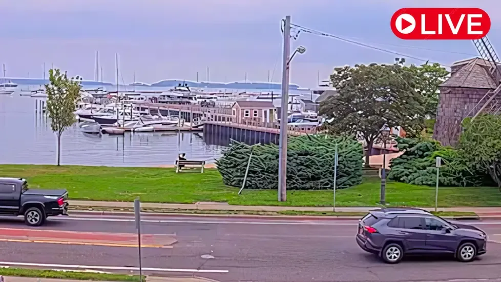 Windmill Beach & Sag Harbor Live Cam